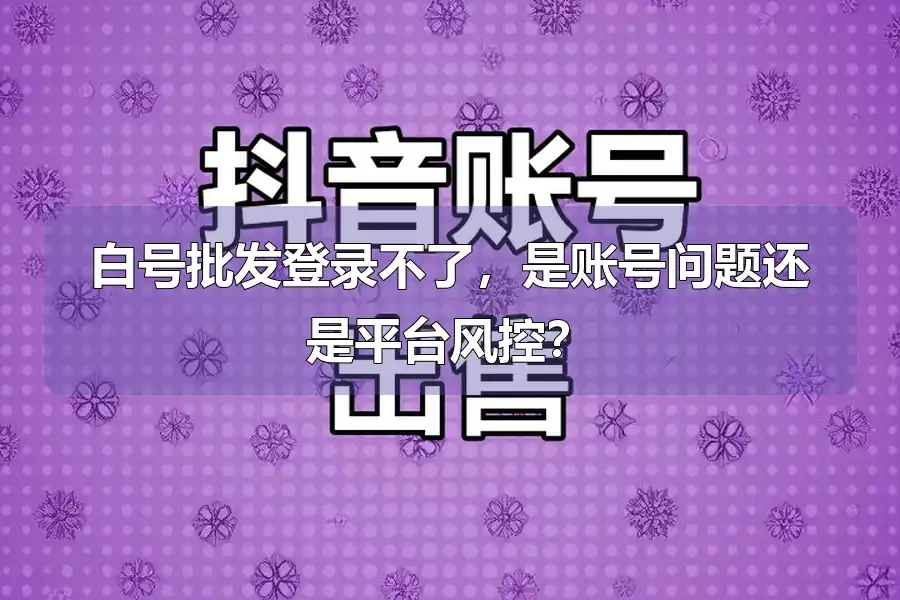 白号批发登录不了,是账号问题还是平台风控?